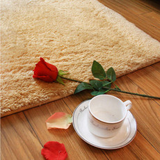 短毛丝毛地毯卧室网红同款床边满铺客厅茶几沙发地垫房间地毯 40x60cm驼色