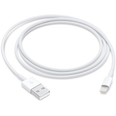 苹果/APPLE Lightning/闪电转 USB 连接线 (1 米) iPhone iPad兼容