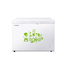 容声/Ronshen BD/BC-309MD顶开门冷柜单温商家用冷藏冷冻卧式冰柜
