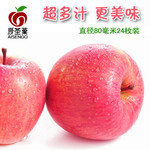 农家自产 爱圣菓超多汁原产地优质洛川苹果80mm24枚新果特惠销售