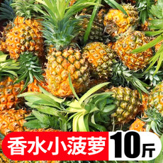 10斤香水菠萝 新鲜热带水果 菠萝5斤裝3斤裝多种规格可选 全国多仓发货  凤梨