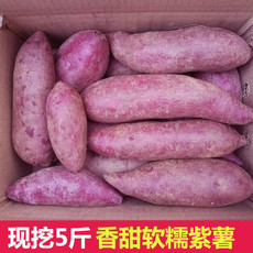 【现挖现发】沙地紫薯番薯地瓜山芋新鲜果蔬香薯蕃薯5斤