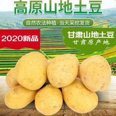 【10斤】大西北高原特产新鲜黄心土豆现挖甘肃黄皮洋芋高含量马铃薯【小度美食】